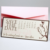 Cherry Blossom Save the Date